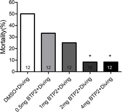 The Blockade of Store-Operated Calcium Channels Improves Decompression Sickness in Rats